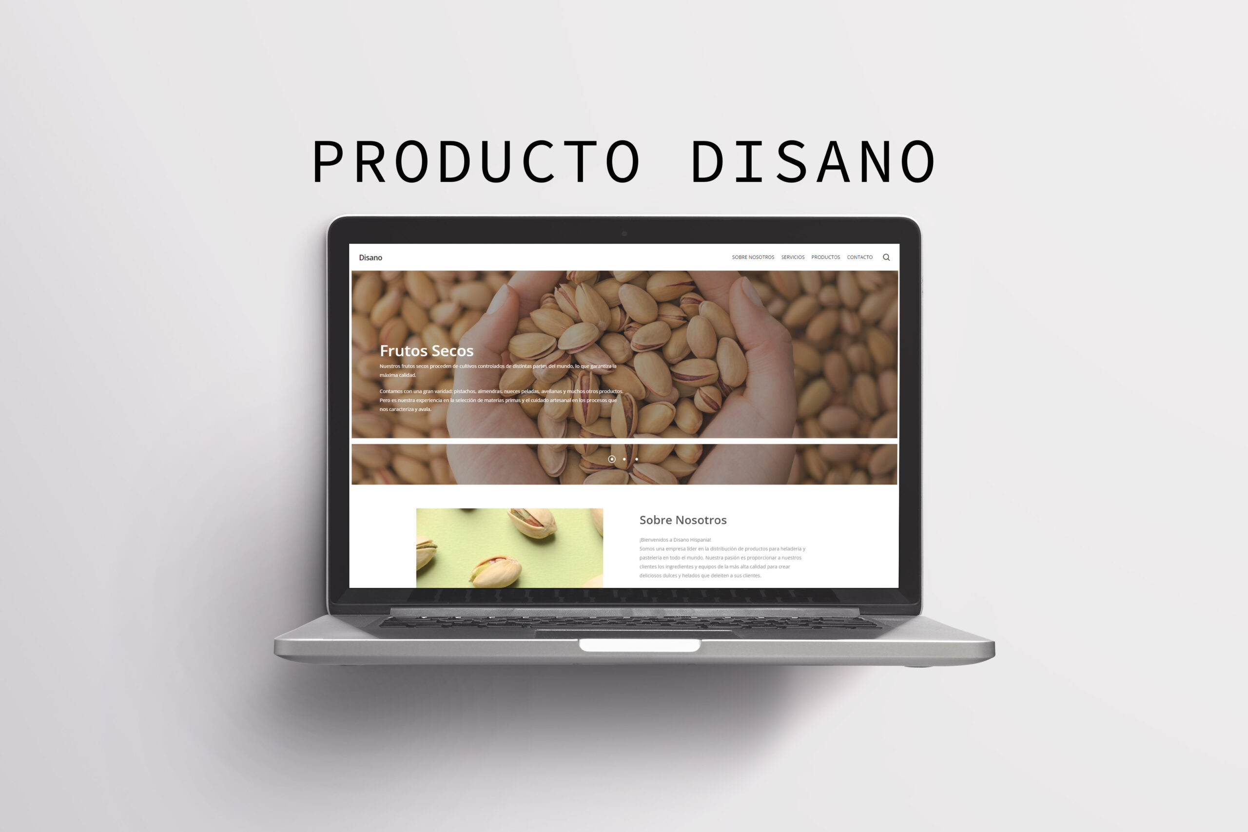 Producto Disano